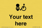 DV10928: Custom information: Accessible Toilet LtR