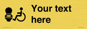 DV10928: Custom information: Accessible Toilet LtR