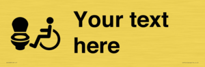 DV10928: Custom information: Accessible Toilet LtR