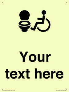 DV10928: Custom information: Accessible Toilet LtR