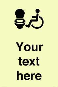 DV10928: Custom information: Accessible Toilet LtR