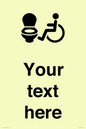 DV10928: Custom information: Accessible Toilet LtR