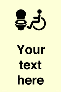 DV10928: Custom information: Accessible Toilet LtR