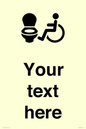 DV10928: Custom information: Accessible Toilet LtR