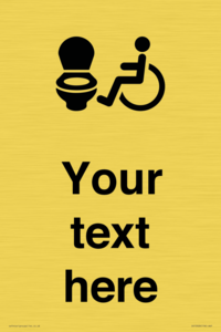 DV10928: Custom information: Accessible Toilet LtR