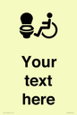 DV10928: Custom information: Accessible Toilet LtR
