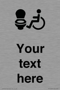 DV10928: Custom information: Accessible Toilet LtR