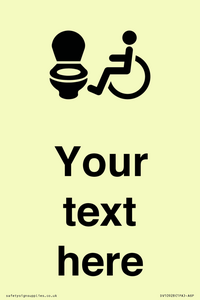 DV10928: Custom information: Accessible Toilet LtR