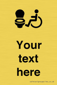 DV10928: Custom information: Accessible Toilet LtR