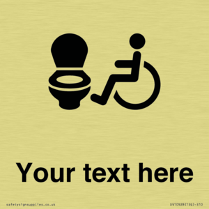 DV10928: Custom information: Accessible Toilet LtR