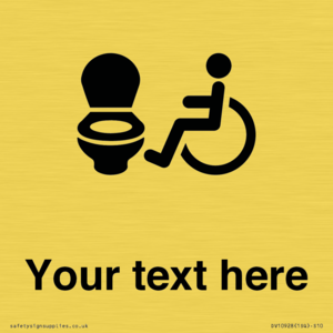 DV10928: Custom information: Accessible Toilet LtR