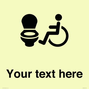 DV10928: Custom information: Accessible Toilet LtR