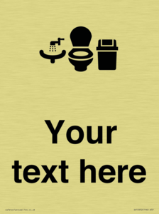 DV10932: Custom information: Toilets WC and Wash Basin with Sanitary Bin