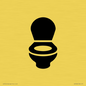 DV7636: WC Toilet