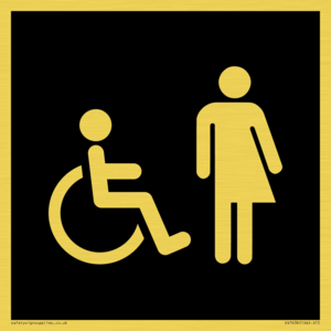 DV7638: Disabled and Non-gender specific in black panel