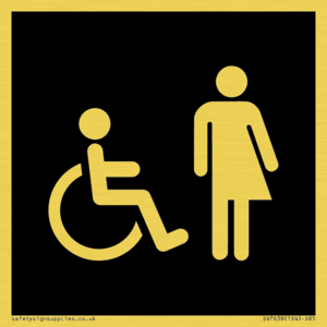 DV7638: Disabled and Non-gender specific in black panel