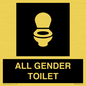 DV7702: WC Toilet in black panel