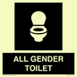 DV7702: WC Toilet in black panel