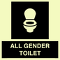 DV7702: WC Toilet in black panel