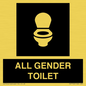 DV7702: WC Toilet in black panel