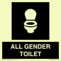 DV7702: WC Toilet in black panel
