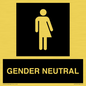 DV7707: Non-gender specific in black panel