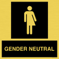 DV7707: Non-gender specific in black panel