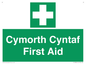 FE12896: Cymorth Cyntaf First Aid in Welsh