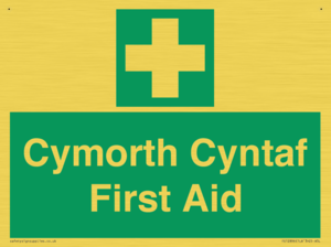 FE12896: Cymorth Cyntaf First Aid in Welsh