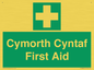 FE12896: Cymorth Cyntaf First Aid in Welsh