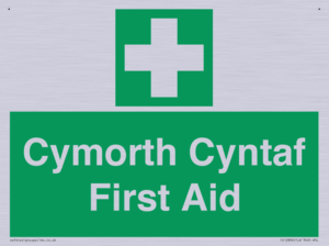 FE12896: Cymorth Cyntaf First Aid in Welsh