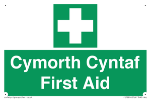 FE12896: Cymorth Cyntaf First Aid in Welsh