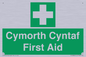 FE12896: Cymorth Cyntaf First Aid in Welsh