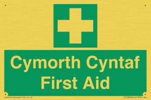 FE12896: Cymorth Cyntaf First Aid in Welsh