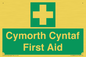 FE12896: Cymorth Cyntaf First Aid in Welsh