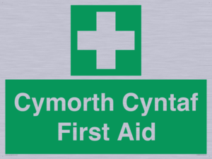 FE12896: Cymorth Cyntaf First Aid in Welsh