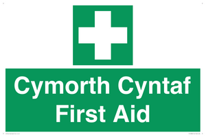 FE12896: Cymorth Cyntaf First Aid in Welsh