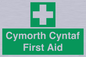 FE12896: Cymorth Cyntaf First Aid in Welsh
