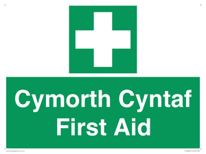 FE12896: Cymorth Cyntaf First Aid in Welsh