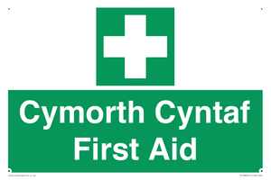 FE12896: Cymorth Cyntaf First Aid in Welsh