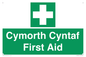 FE12896: Cymorth Cyntaf First Aid in Welsh