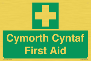 FE12896: Cymorth Cyntaf First Aid in Welsh