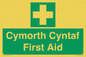 FE12896: Cymorth Cyntaf First Aid in Welsh