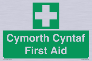 FE12896: Cymorth Cyntaf First Aid in Welsh