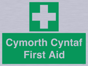 FE12896: Cymorth Cyntaf First Aid in Welsh