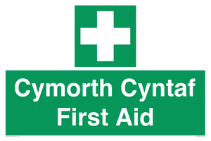 FE12896: Cymorth Cyntaf First Aid in Welsh
