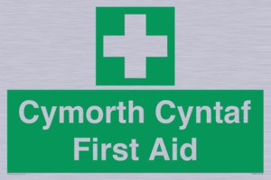 FE12896: Cymorth Cyntaf First Aid in Welsh