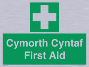 FE12896: Cymorth Cyntaf First Aid in Welsh