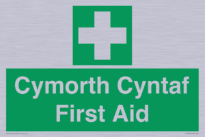 FE12896: Cymorth Cyntaf First Aid in Welsh
