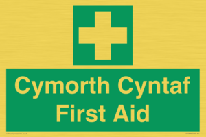 FE12896: Cymorth Cyntaf First Aid in Welsh